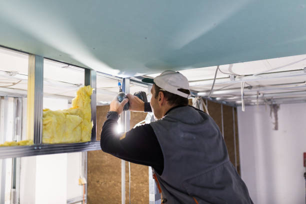 Best Crawl Space Insulation  in Colesville, MD