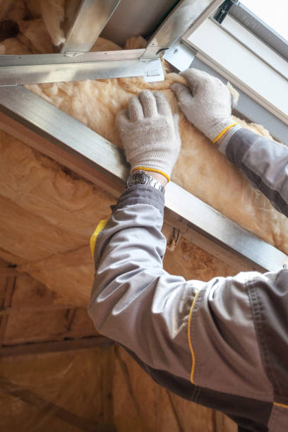 Best Insulation for New Construction  in Colesville, MD