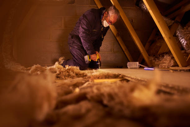 Best Crawl Space Insulation  in Colesville, MD