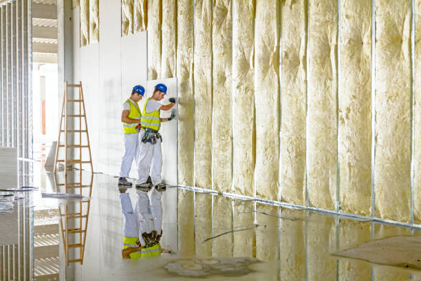 Best Attic Insulation Installation  in Colesville, MD